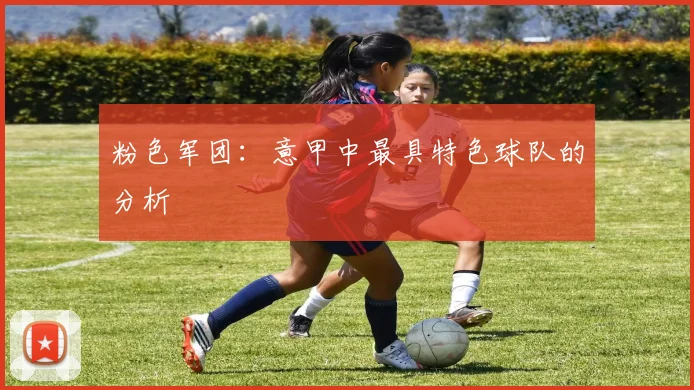 粉色军团：意甲中最具特色球队的分析