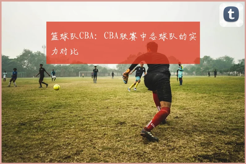 篮球队CBA：CBA联赛中各球队的实力对比