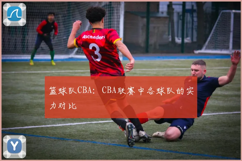 篮球队CBA：CBA联赛中各球队的实力对比