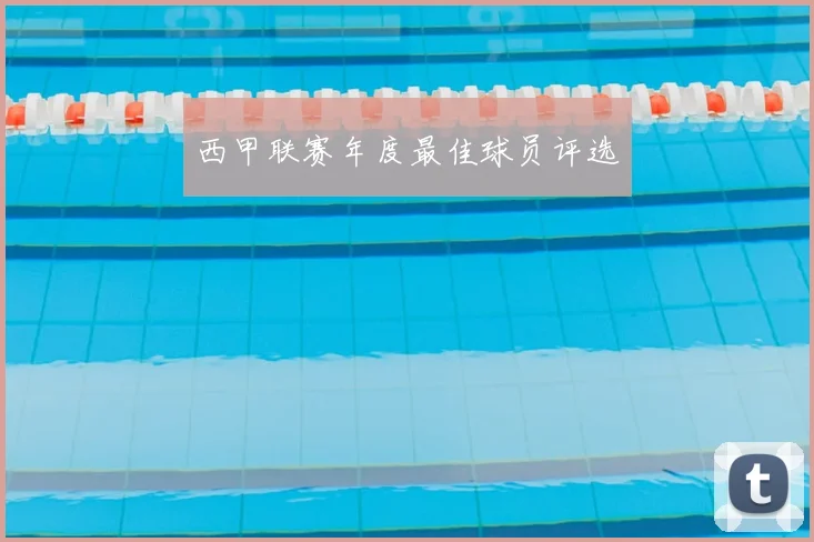 西甲联赛年度最佳球员评选